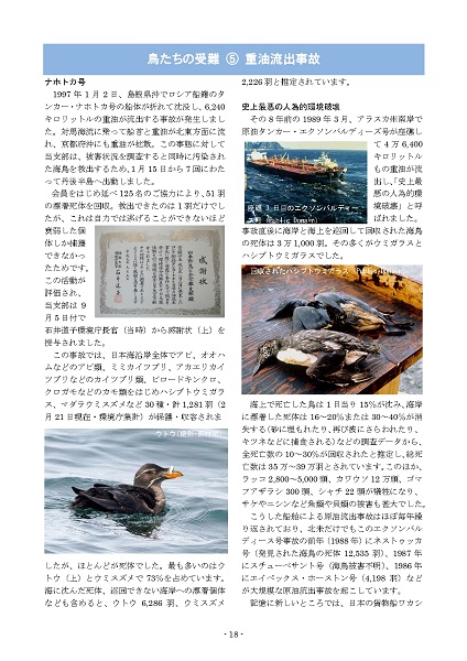 そんぐぽすと 238号 10月 11月号 京都鳥日和
